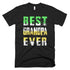 Mens Best Grandpa EverGreat Father Day T-Shirt